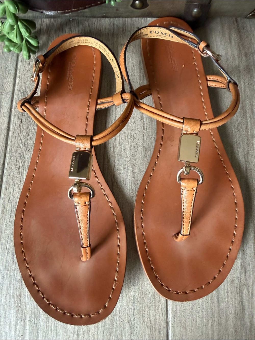 COACH Charleen Brown Leather T-Strap Sandals with Gold Hardware